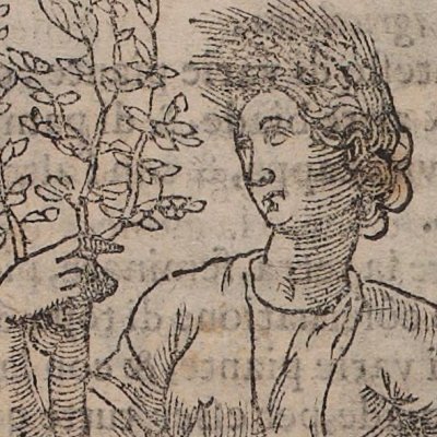Agricoltura (Ripa, 1603) - Chevalier d’Arpin
