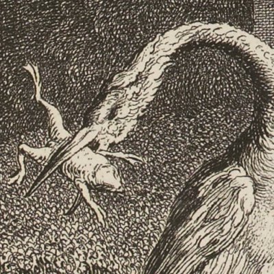 Les Grenouilles qui demandent un roi (La Fontaine Desaint&Saillant 1755) - Oudry