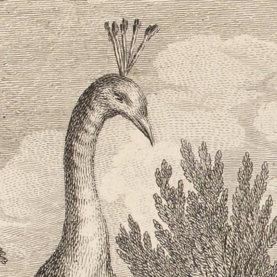 Le geay paré des plumes du paon (La Fontaine, Desaint & Saillant 1755) - Oudry