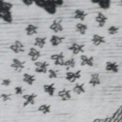 Les Frelons & les Mouches à miel (Fables de La Fontaine, Barbin 1668) - Chauveau
