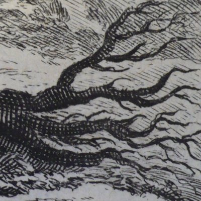 The Oak and the Reed (Fables de La Fontaine, Barbin, 1668) - Chauveau