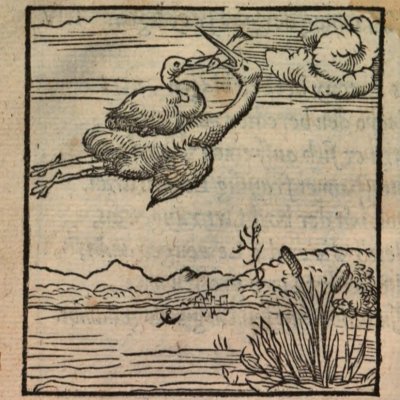 Gratiam referendam / Vergeltung der Volthat (Alciatus, Emblematum Libellus, 1542, n°5)