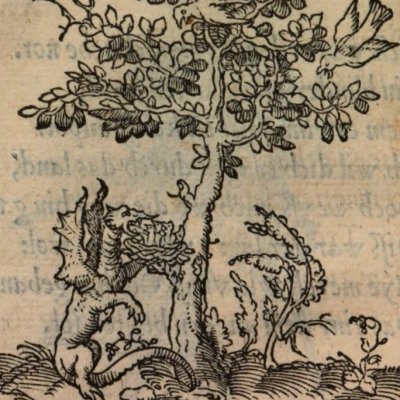 Par les épreuves un nom immortel (Alciat, Emblematum Libellus, 1542)