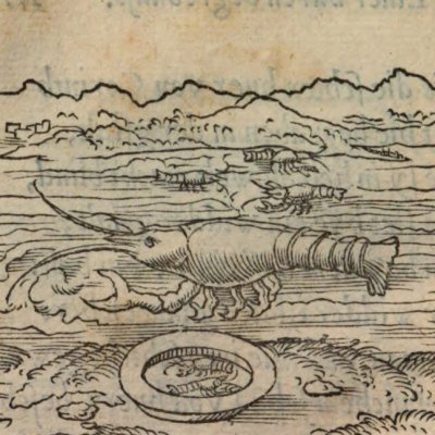 Les Parasites (Alciat, Emblematum Libellus, 1542)