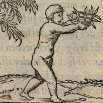 Qu’Alciat vienne en France (Alciat, Emblematum Libellus, 1542)