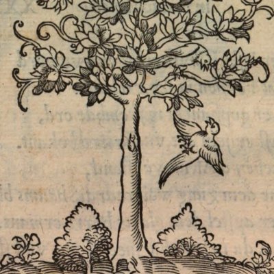 Petite cuisine à deux gloutons ne suffit (Alciat, Emblematum Libellus, 1542)