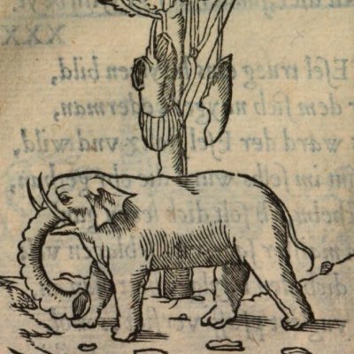 Ceux qui louent choses honteuses (Alciat, Emblematum Libellus, 1542)