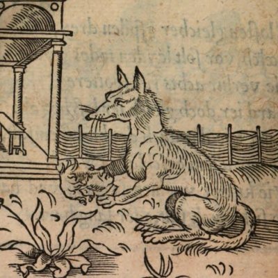 L’esprit compte plus que la beauté (Alciat, Emblematum Libellus, 1542)