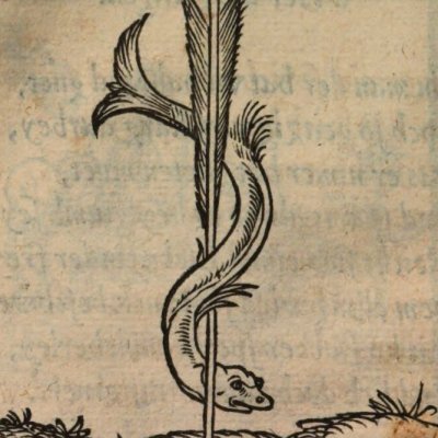Prendre le temps (Alciat, Emblematum Libellus, 1542)