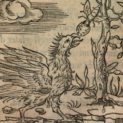 Les plus petits aussi sont à craindre (Alciat, Emblematum Libellus, 1542)