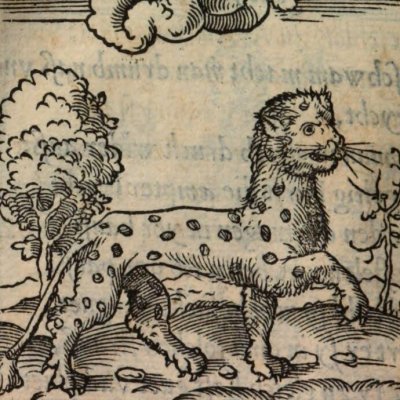 Ne pas céder, même sous la torture (Alciat, Emblematum Libellus, 1542)