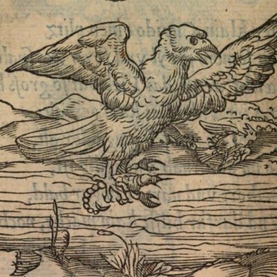 Juste vengeance (Alciat, Emblematum Libellus, 1542, n°74)