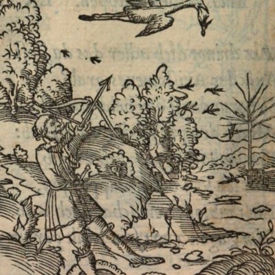 Regarder tomber ce qui est en haut (Alciat, Emblematum Libellus, 1542, n°83)