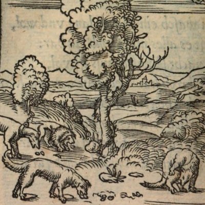 L’argent parfois paye le salut (Alciat, Emblematum Libellus, 1542, n°85)