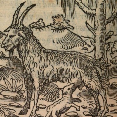 Celui qui se cause à lui-même dommage (Alciat, Emblematum Libellus, 1542, n°91)