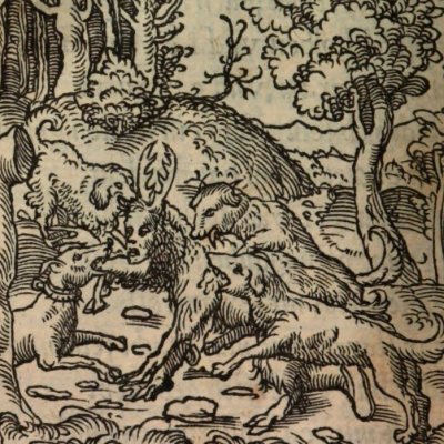 Receleurs de meurtriers (Alciat, Emblematum Libellus, 1542, n°94)