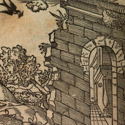 Savant ne doit contredire autre savant (Alciat, Emblematum Libellus, 1542, n°99)