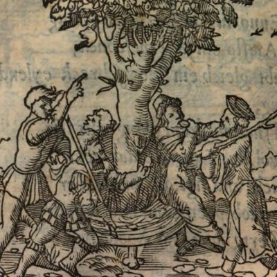 L’oubli de la patrie (Alciat, Emblematum Libellus, 1542, n°109)