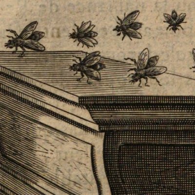 Il n’est pas pire venin que celui d’une mauvaise langue (Baudoin, 1638) - Briot