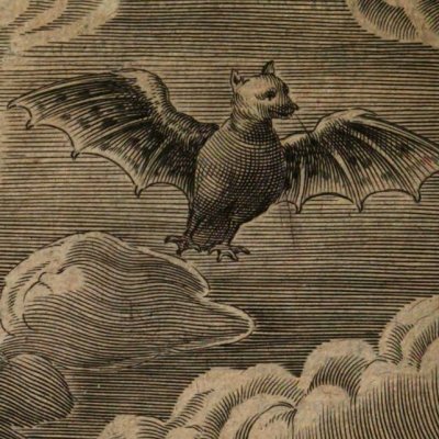 Trois sortes de personnes dénotées par la chauve-souris (Baudoin, 1638) - Briot