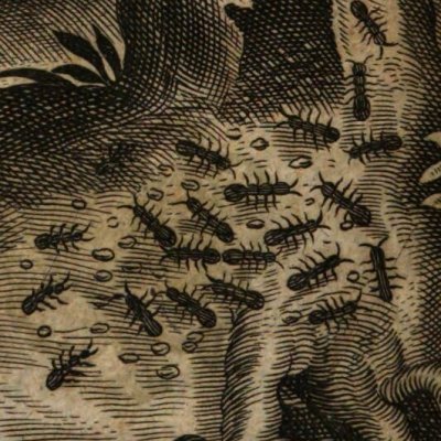 Concorde et union mutuelle / Les fourmis (Baudoin, 1638) - Briot