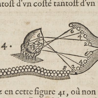 Impulsion du mouvement (Descartes, De l’Homme, 1664)