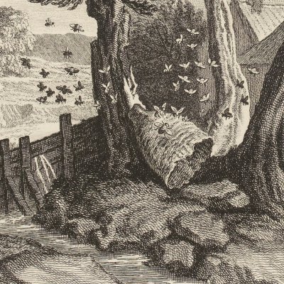 Les frelons & les mouches à miel (La Fontaine, Desaint & Saillant, 1755) - Oudry