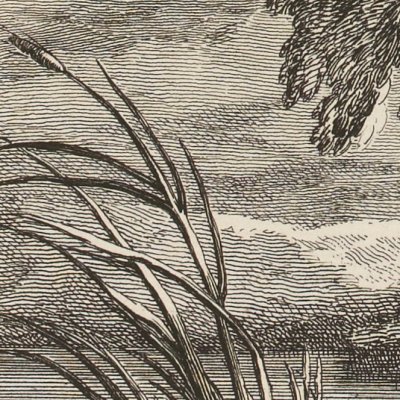 Le chêne et le roseau (La Fontaine, Desaint & Saillant, 1755) - Oudry