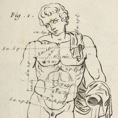 Proportions de la statue d’Antinoüs (Encyclopédie, t. 20, Dessein, Pl. 34)