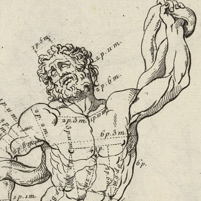 Proportions de la statue de Laocoon (Encyclopédie, t. 20, Dessein, Pl. 36)