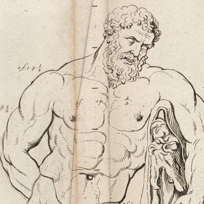 Exemple touchant les Proportions & les Contours  - Testelin