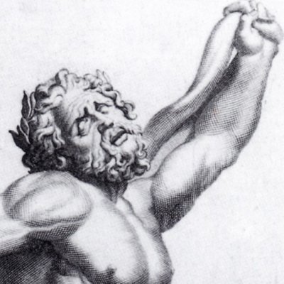 Laocoon - Randon