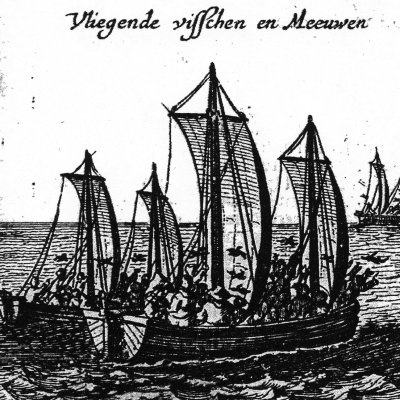 Poissons volants (Verhael van de Avontuerlijke Reyse…, p15, in Oost en Westindische Voyagien..., 1650)