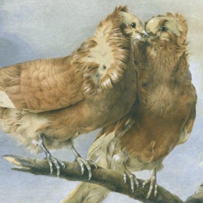 Deux pigeons sur une branche d’arbre - Mme Vien