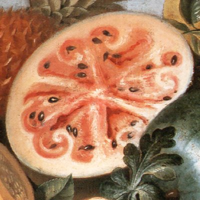 Ananas, pastèque et fruits tropicaux - Albert Eckhout