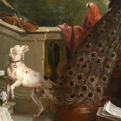 Animaux, fleurs et fruits - Desportes