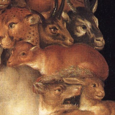 La terre - Arcimboldo