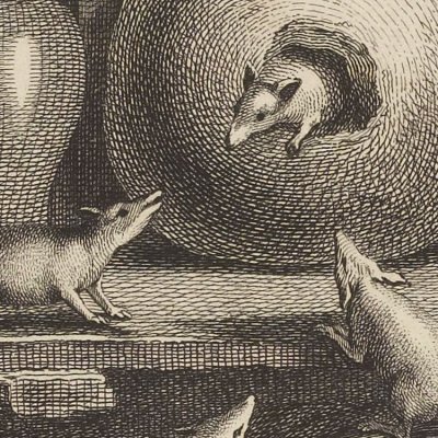 Le rat qui s’est retiré du monde (La Fontaine, Desaint & Saillant, 1755) - Oudry
