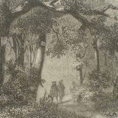 La belle au bois dormant. Le prince dans la forêt (Contes des fées, Garnier, 1872)