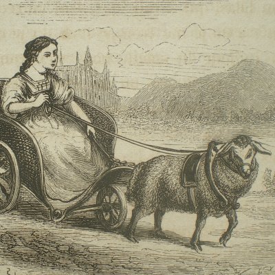 Peau d’âne. La marraine de Peau-d’âne (Contes des fées, Garnier, 1872)