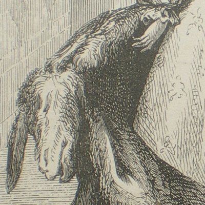 Peau d’âne retire sa peau d’âne (Contes des fées, Garnier, 1872)