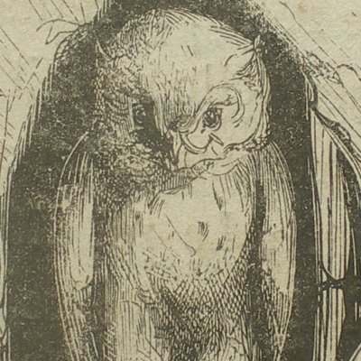 La Belle aux cheveux d’or. Le hibou (Contes des fées, Garnier, 1872)