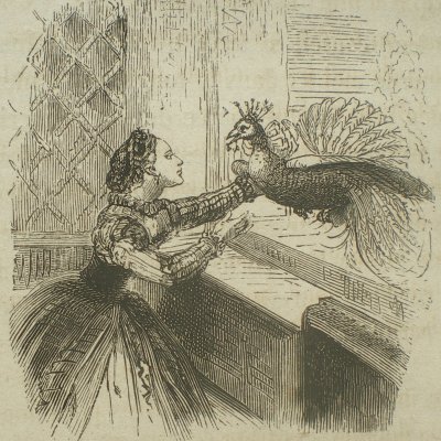 L’Oiseau bleu rend visite à Florine séquestrée (Contes des fées, Garnier, 1872)