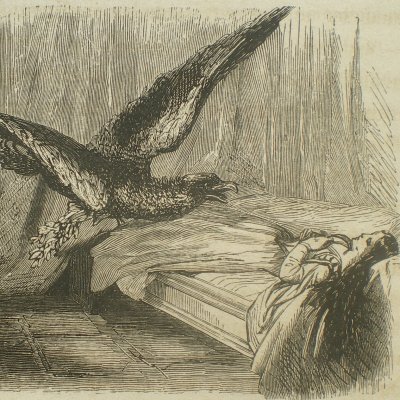 Le Rameau d'or. L'aigle et la belle endormie - (Fairy Tales, Garnier)