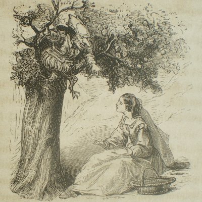 Le Nain jaune surgit de son oranger (Contes des fées, Garnier, 1872)