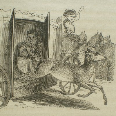 La Biche au bois. 3. Désirée changed into a hind - (Contes des fées, Garnier)