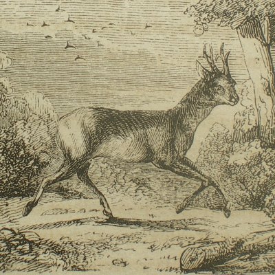 La Biche au bois. Épilogue (Contes des fées, Garnier, 1872)