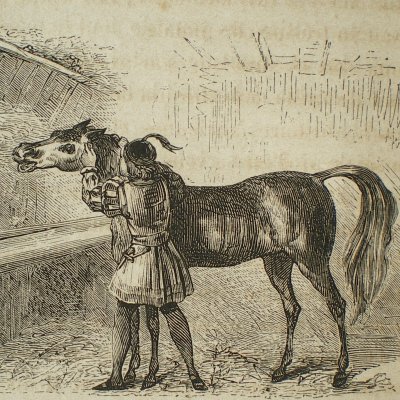 Le Chevalier fortuné (3) (Contes des fées, Garnier, 1872)