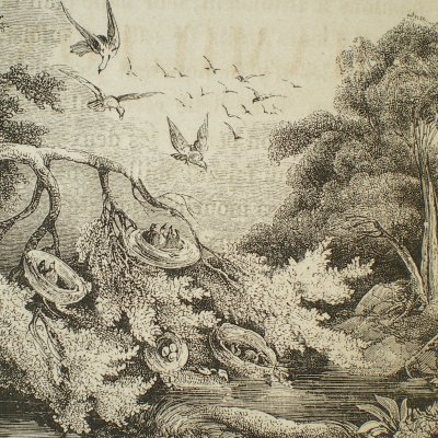 Le Chevalier fortuné (15) (Contes des fées, Garnier, 1872)