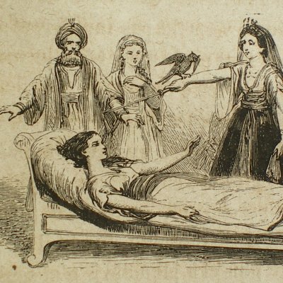 Fleur d’épine sauvée du bûcher par Serène (Contes des fées, Garnier, 1872)